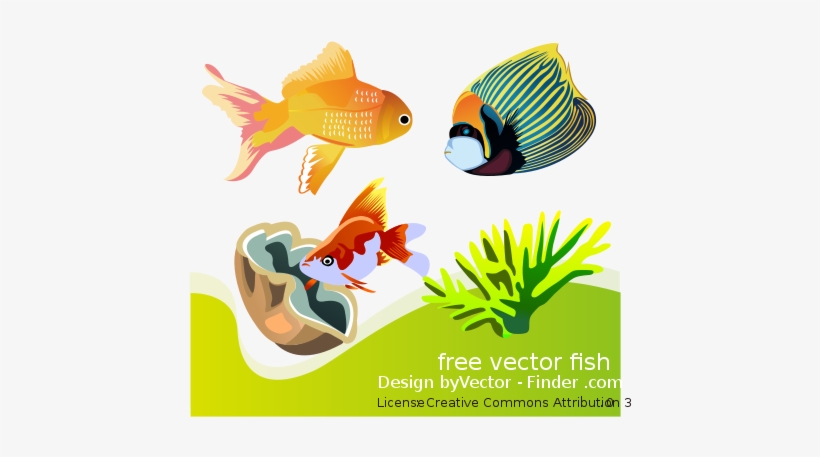 Free Vector Fish - Sea Animal Worksheets In French, transparent png #1652378