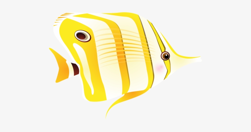 Fish,tropical Fish,sea,exotic Fish,long Nose,butterfly - Fish Pixabay, transparent png #1652439