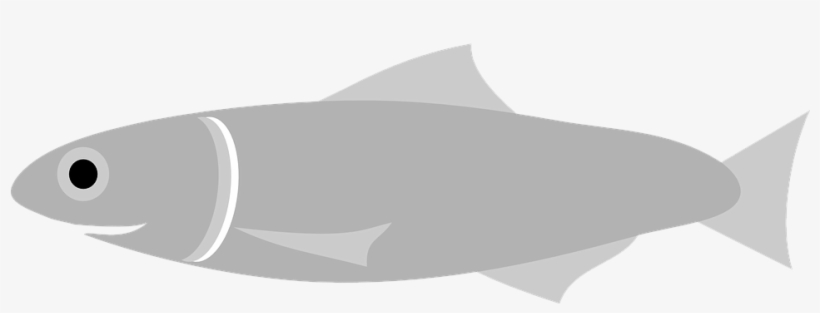 Graphic Bass Fish Vector Stock Vector Art & More Images - Gray Fish Clipart, transparent png #1652468