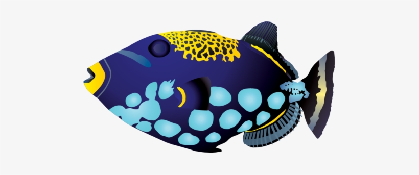 Fish Vector Pack - 5 Fish, transparent png #1652617