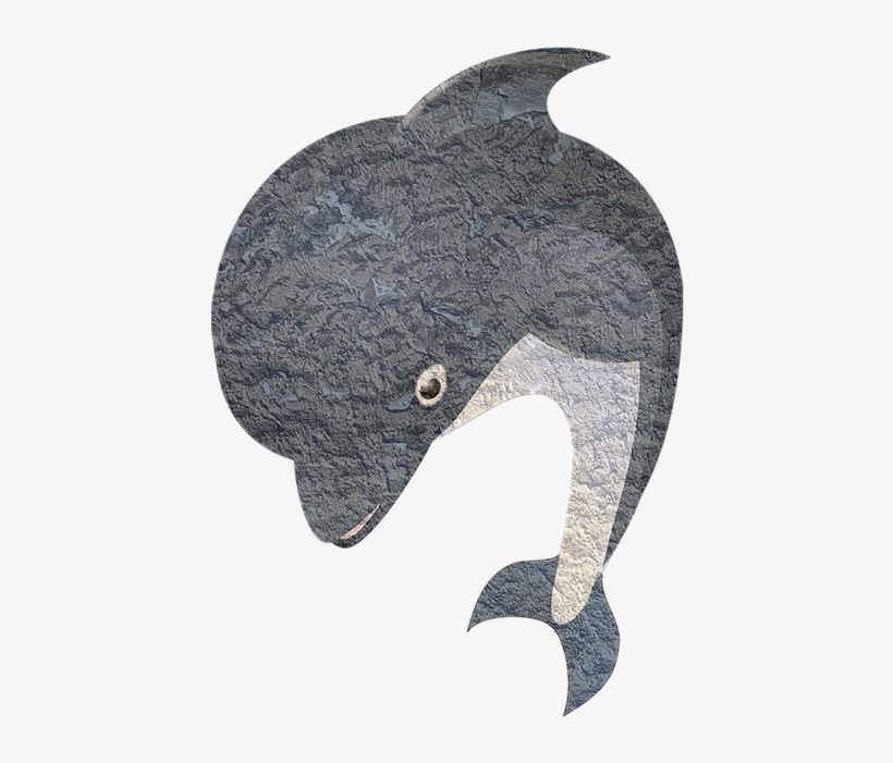 Shark Fishing Fish - Shark, transparent png #1652680