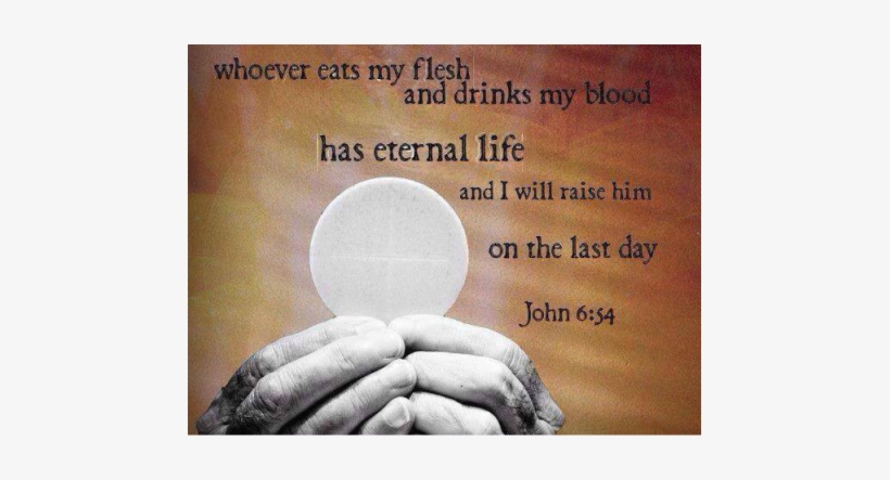 First Communion Program Objectives - Jesus Wine And Bread Quote, transparent png #1653469