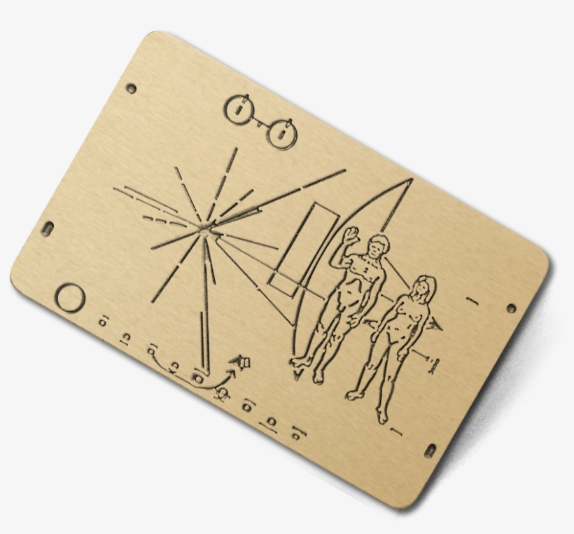 Wood, transparent png #1653978