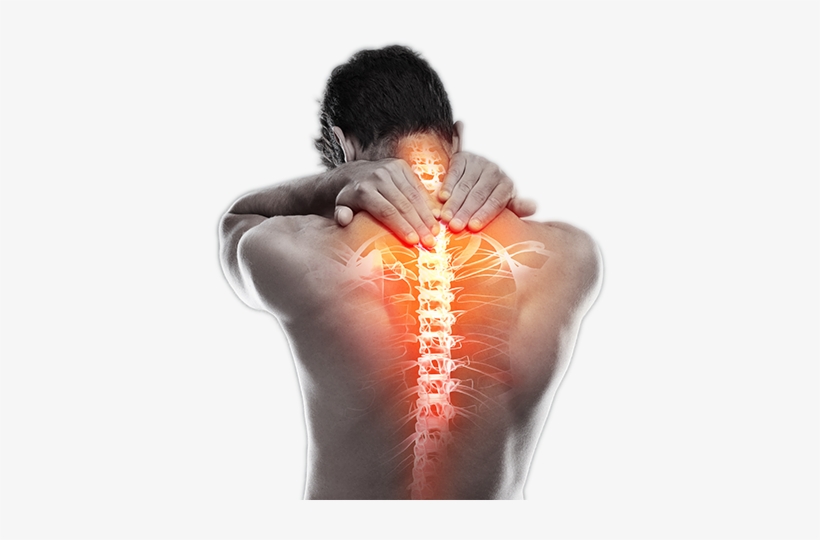 Man's Back From Behind Holding His Neck With Spine - Thoracic Pain Transparent Background, transparent png #1654183