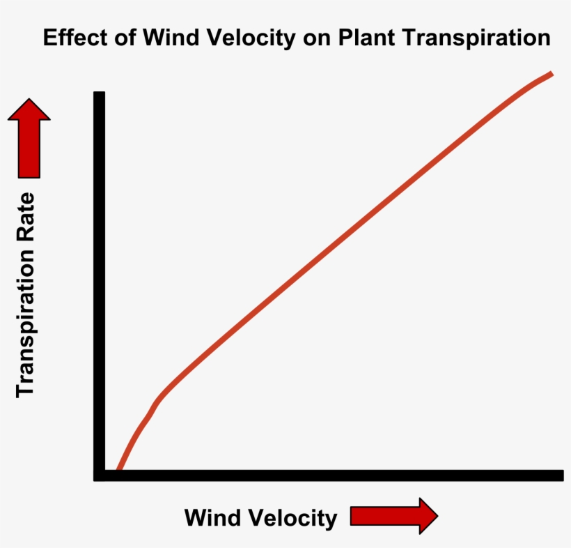Open - Wind Speed Transpiration Graph, transparent png #1654340