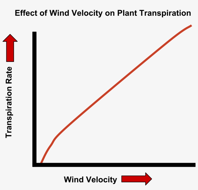 Wind Speed Graph wind-speed-graph