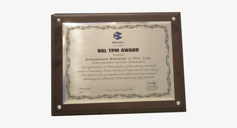 04 Pm 277464 Bal Tpm Award 2008 - Picture Frame, transparent png #1654342