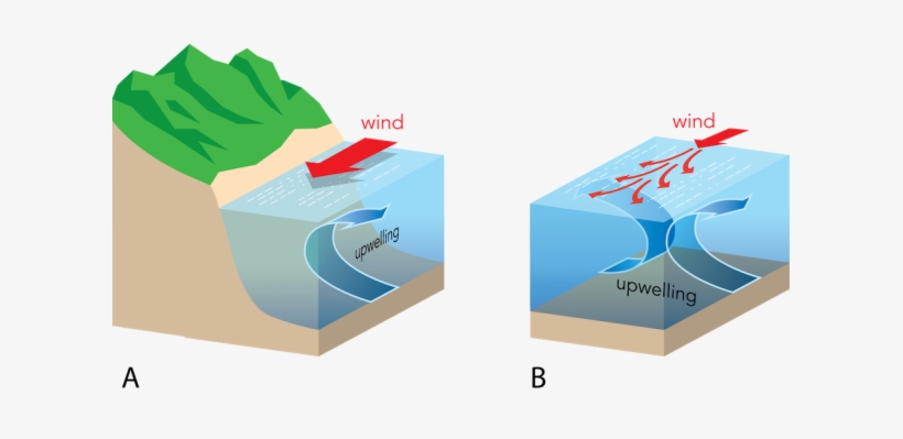 <p><strong>fig - 3 - 23 - </strong> The Processes - Upwelling Equatorial, transparent png #1654464