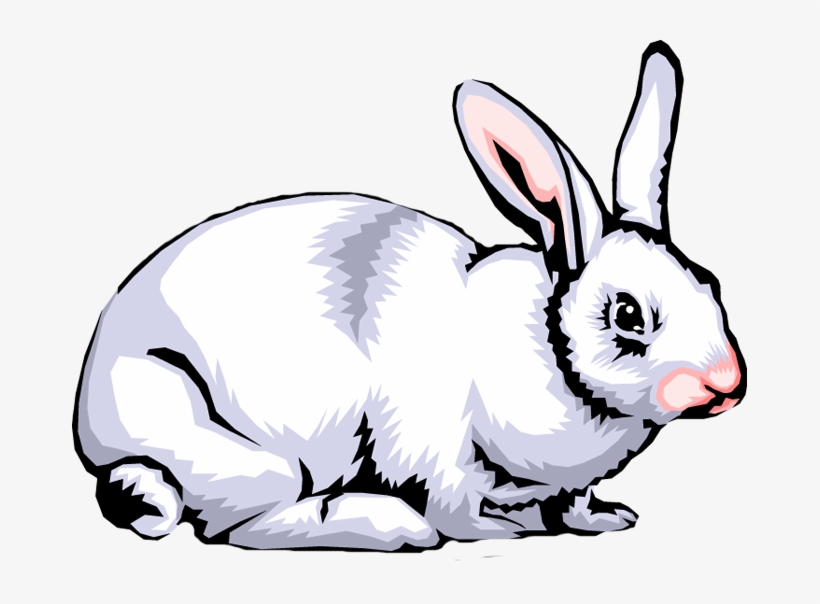 Rabbit Png Clipart - O Que São Seres Heterotroficos, transparent png #1655051