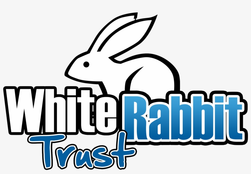 You've Reached The Trust Entrance - Rabbit, transparent png #1655092
