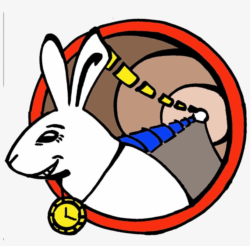 Wr Logo Big - Cern White Rabbit Project, transparent png #1655358