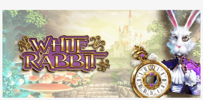 Slot Machine, transparent png #1655426