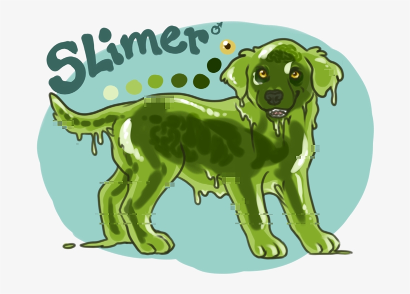 Recent Images - Dog Catches Something, transparent png #1656676