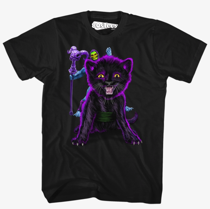 Skeletor And Panthor Masters Of The Universe T-shirt - Marvel Vs Capcom 3 Shirt, transparent png #1656677
