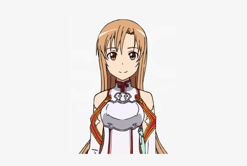 Best Female Character Award - Sword Art Online Asuna Yuuki Cosplay Costume, transparent png #1657312