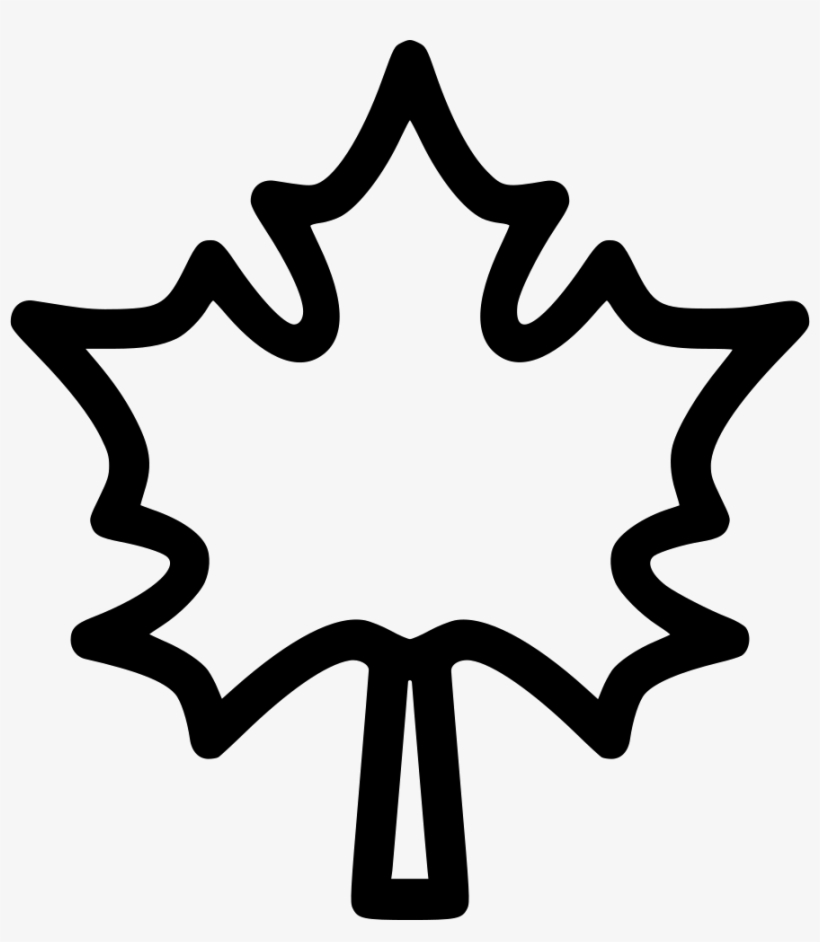 Maple Leaf Leaves Autumn Dry Tree Comments - Leaf, transparent png #1658155