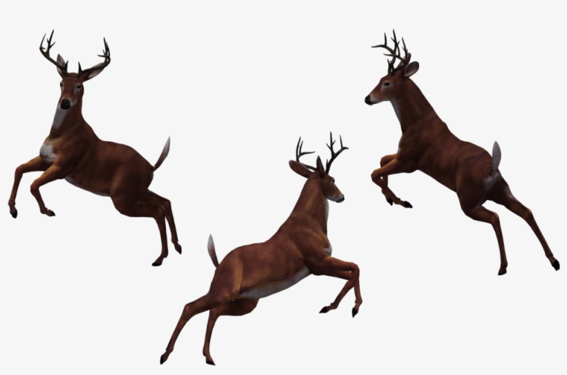 Deer Free Download Png - Eat More Fast Food, transparent png #1658233