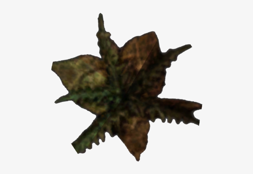 Morrowind Bittergreen Petals - Wiki, transparent png #1658482