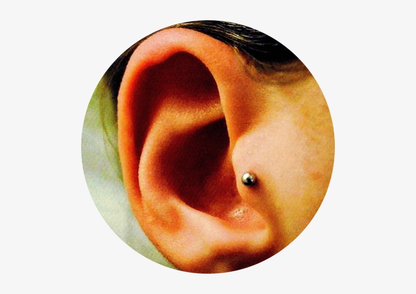 Piercing Aftercare - Wildside Exotic Piercing, transparent png #1659015