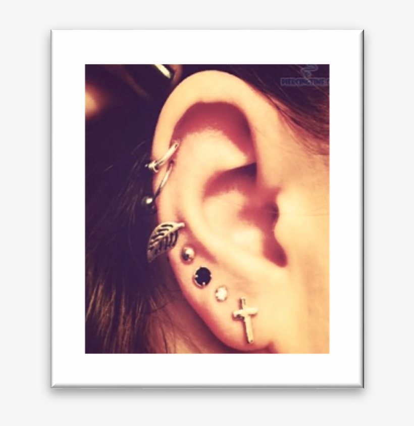 Examples Of Unacceptable Piercings - Helix And Lobe Piercing, transparent png #1659174