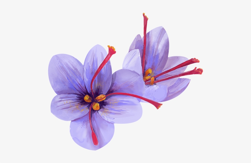 Watercolor Flowers For Collages - Artificial Flower, transparent png #1659584