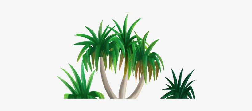 Cartoon Drawing Of Tropical Tree - Grass, transparent png #1659585