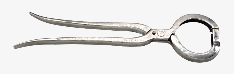 Chinese Animal Cattle Nasal Perforation Forceps Cattle - Cutting Tool, transparent png #1659853