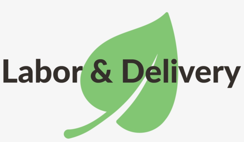 Mothers Who Receive Consistent Chiropractic Care Throughout - Childbirth, transparent png #1659985