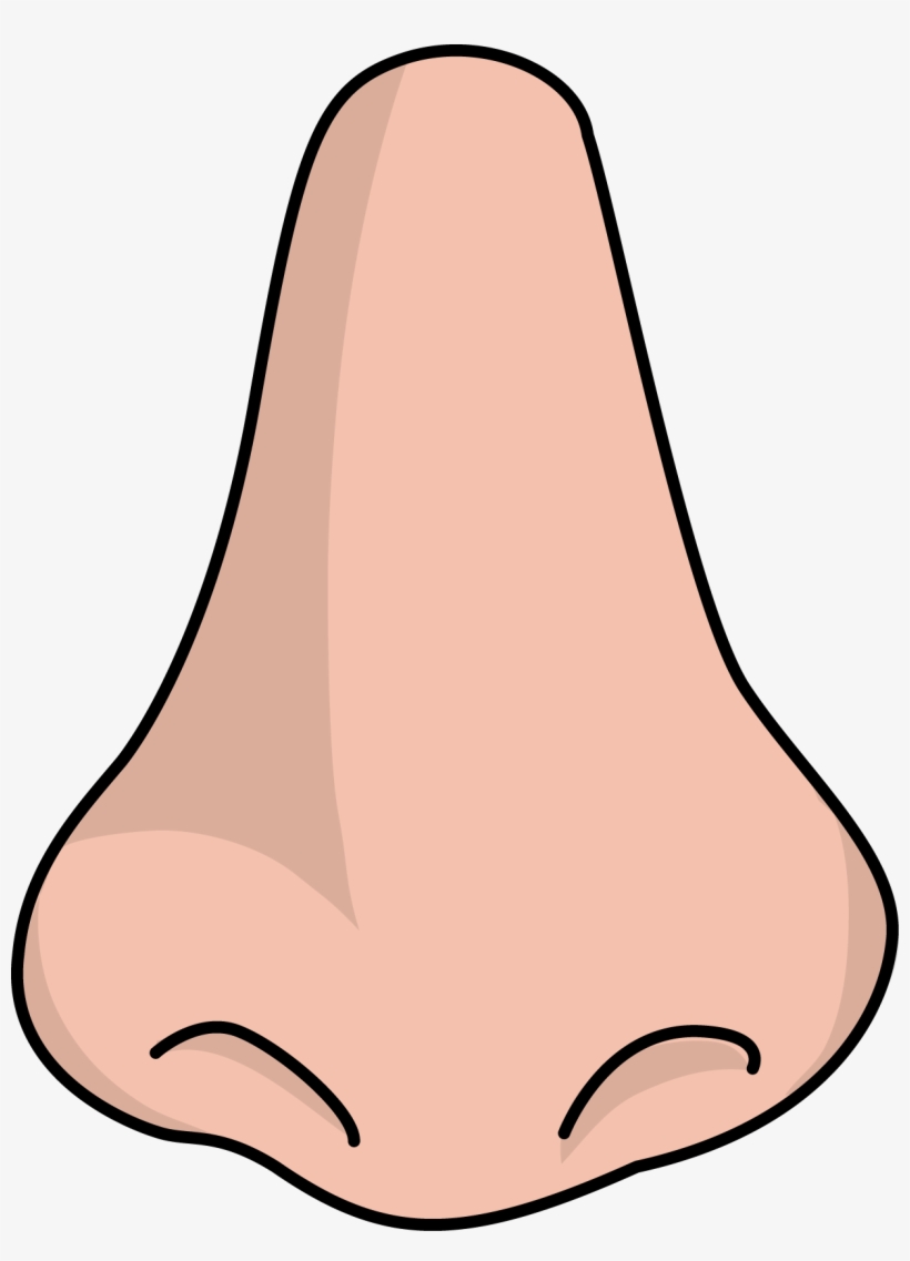 Clipart Png Nose - Nose Png, transparent png #1660087