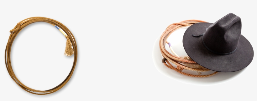 Lasso, transparent png #1661431