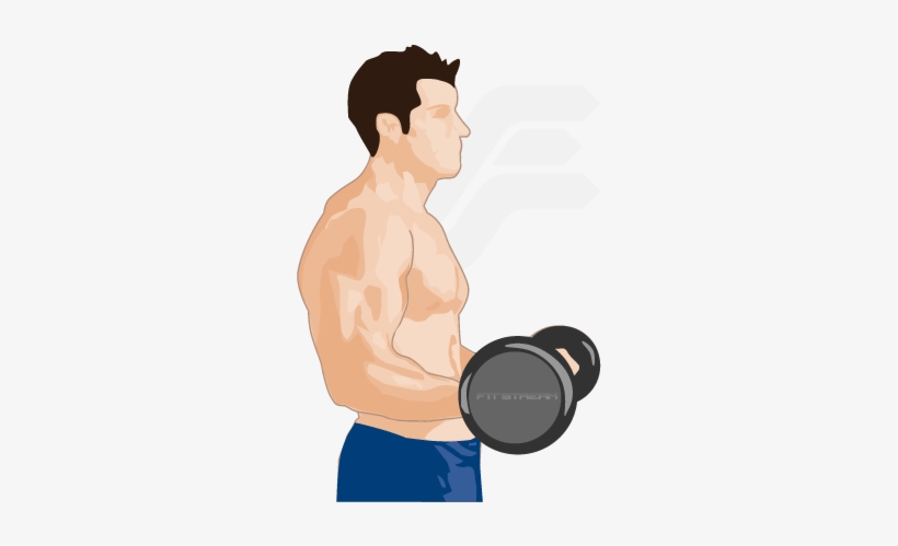 Develop - Biceps Weight, transparent png #1661852