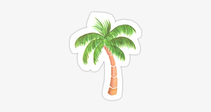 Palm Tree Drawing Png Download " - Palme Sticker, transparent png #1661991