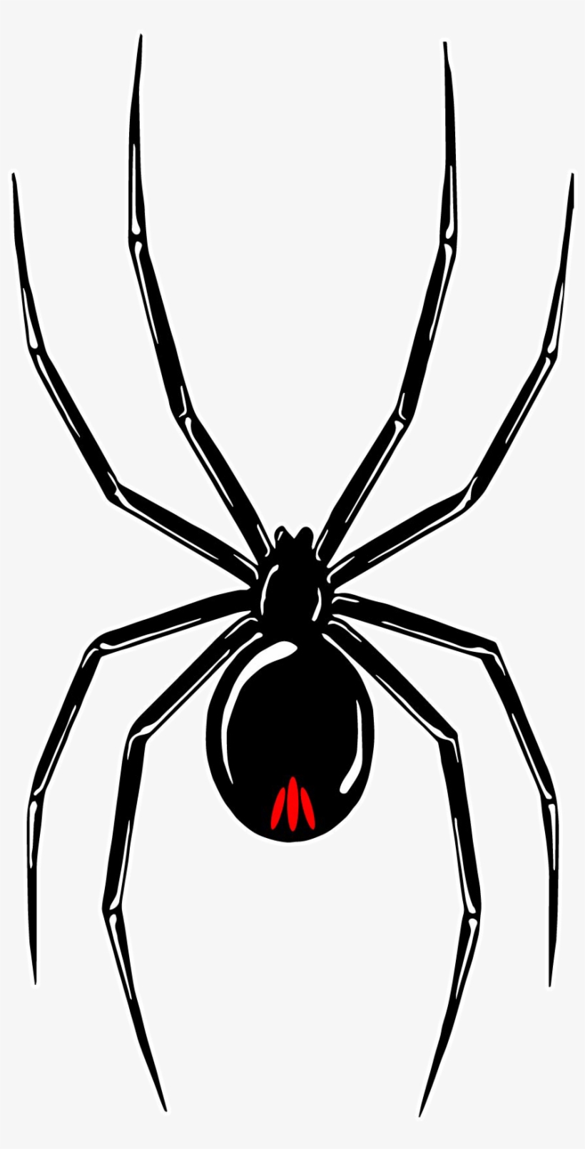 Black Widow Tour - Araignée Tattoo, transparent png #1662059