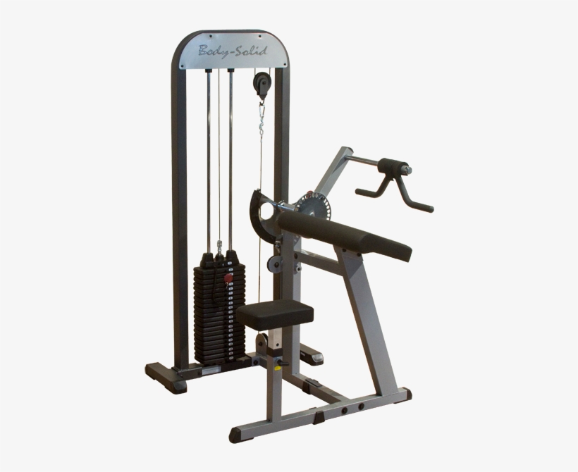 Gcbt Stk, Gcbt Stk - Biceps And Triceps Machine, transparent png #1662063