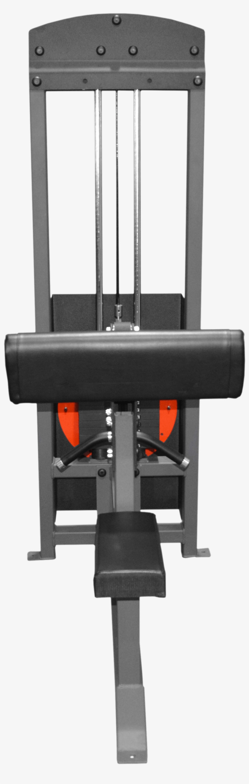 Bicep-curl - Machine, transparent png #1662194
