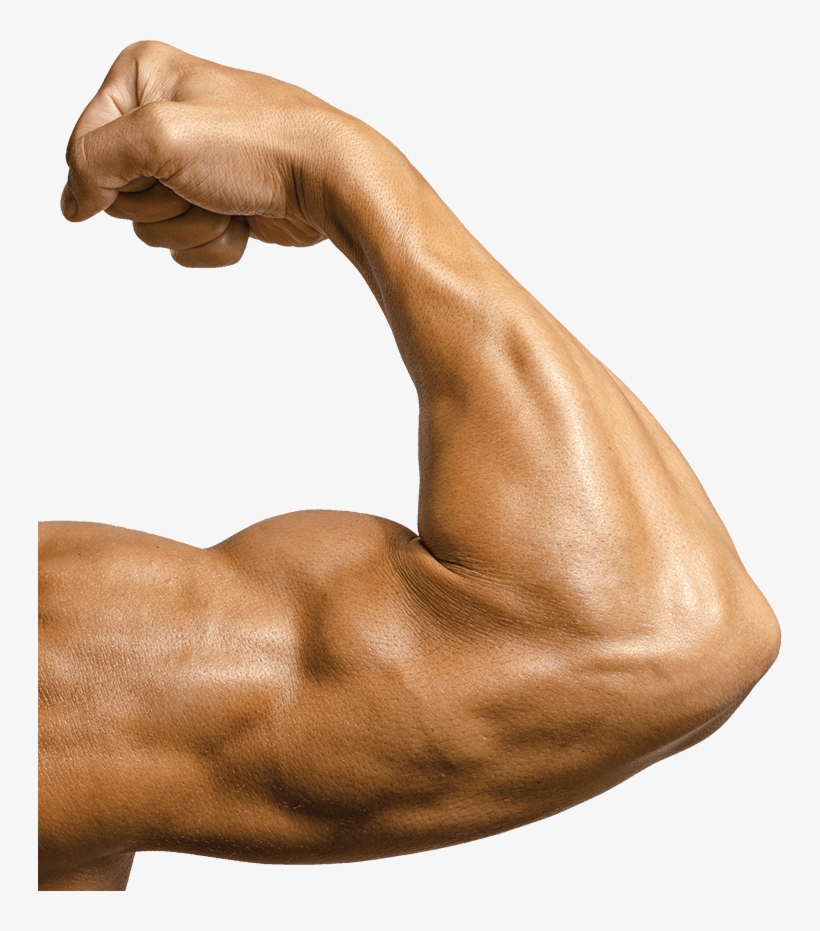 Slider 1819 Vanya Bicep - Bicep Flex Closeup, transparent png #1662417