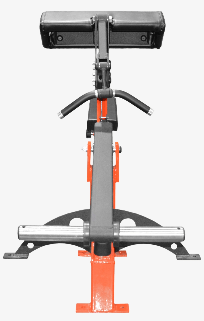 Bicep Curl Plate Loaded - Gym, transparent png #1662440