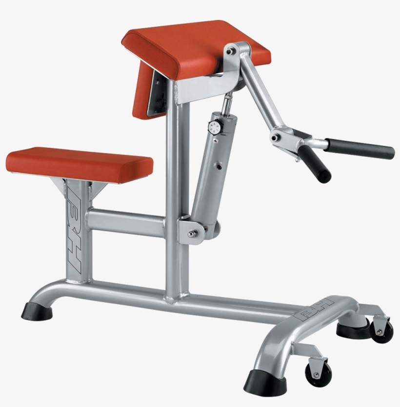 Biceps And Triceps - Maquina De Biceps, transparent png #1662525