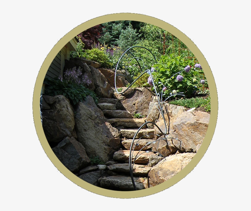 Generic Cialis Pharmacy Review - Boulder, transparent png #1662568