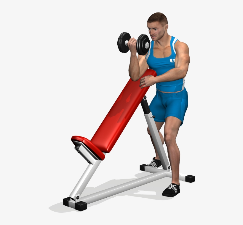 Standing One arm Dumbbell Curl Over Incline Bench Is Exercise Free Transparent PNG Download PNGkey