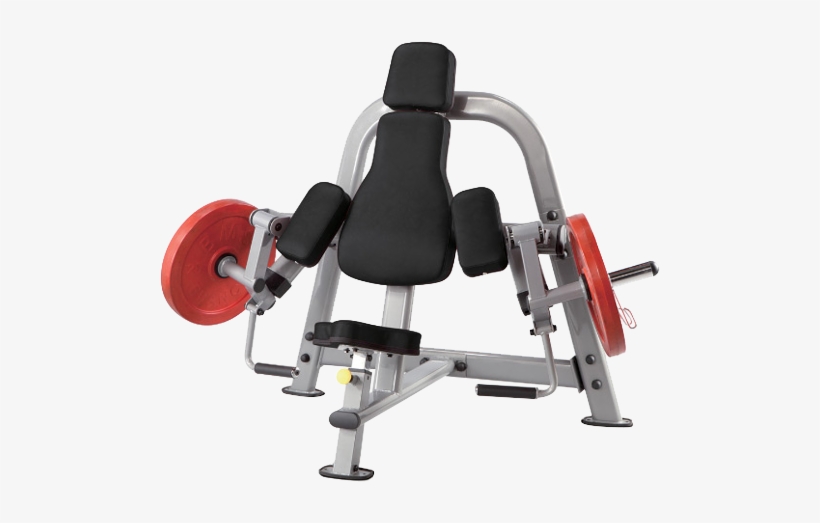 Steelflex Plateload Bicep Curl - Biceps Curl Machine For Sale, transparent png #1662666
