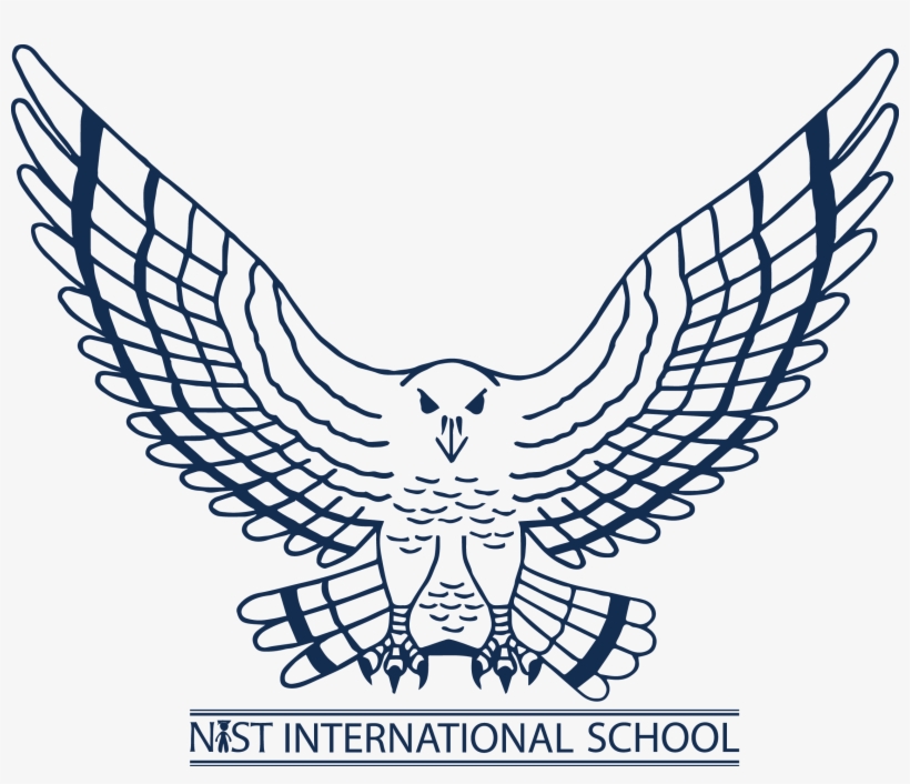 Nist International School Falcons, transparent png #1662782