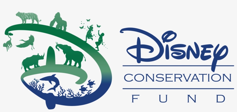 Disney Conservation Fund Provides Emergency Support - Disney Conservation Fund, transparent png #1662833