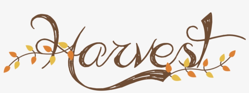 We Chose To Highlight The Beautiful "harvest" Card - Authentique Double-sided Cardstock Pad 12"x12" 24/pkg-harvest,, transparent png #1663693