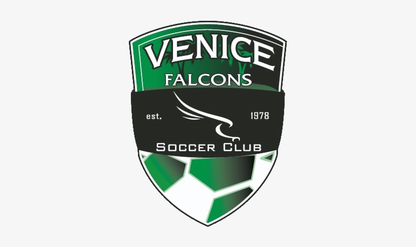 Venice Falcons, transparent png #1663810