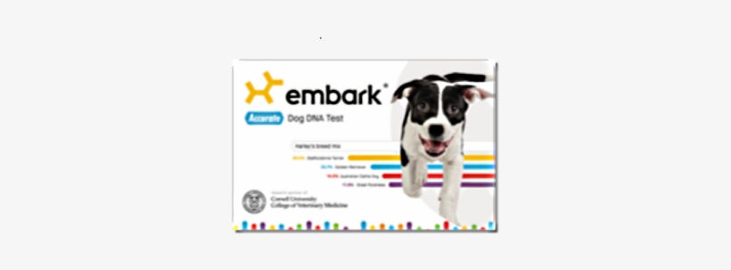 Prize - Embark | Dog Dna Test | Breed Identification | 160, transparent png #1665448