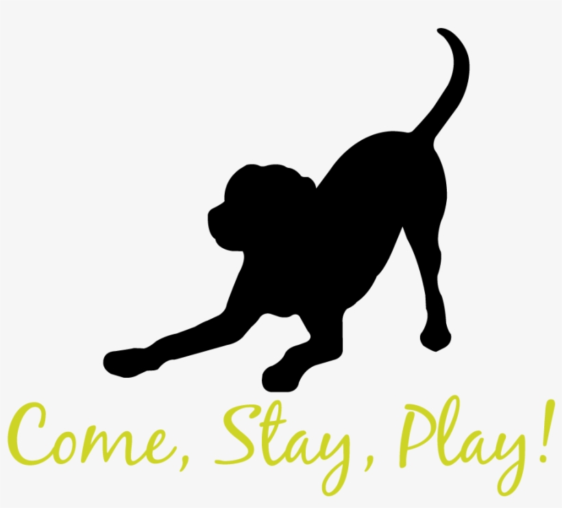 Affectionate Pet Care - Black Lab Decal, transparent png #1665596