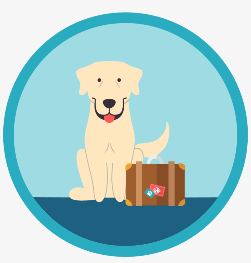 Dog Boarding - Dog, transparent png #1665928