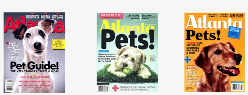 Award Winning Pet Care Services - Dog Who Couldn't Stop Loving: For Thousands Of Years, transparent png #1666046