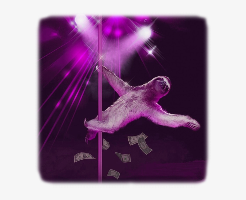 Stripper Sloths, transparent png #1666994